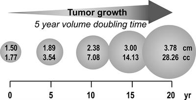 Biochemical Diagnosis of Catecholamine-Producing Tumors of Childhood: Neuroblastoma, Pheochromocytoma and Paraganglioma